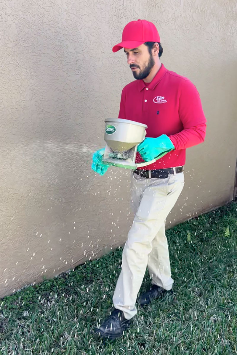 Elite Pest Services business image in Land O' Lakes, Florida